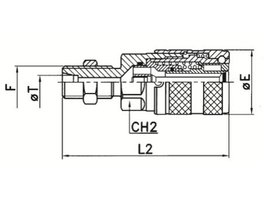6020F-FF-20S-HP-SV